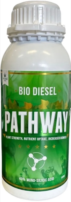 Bio Diesel Pathway